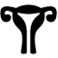  Gynecology and Obstetrics